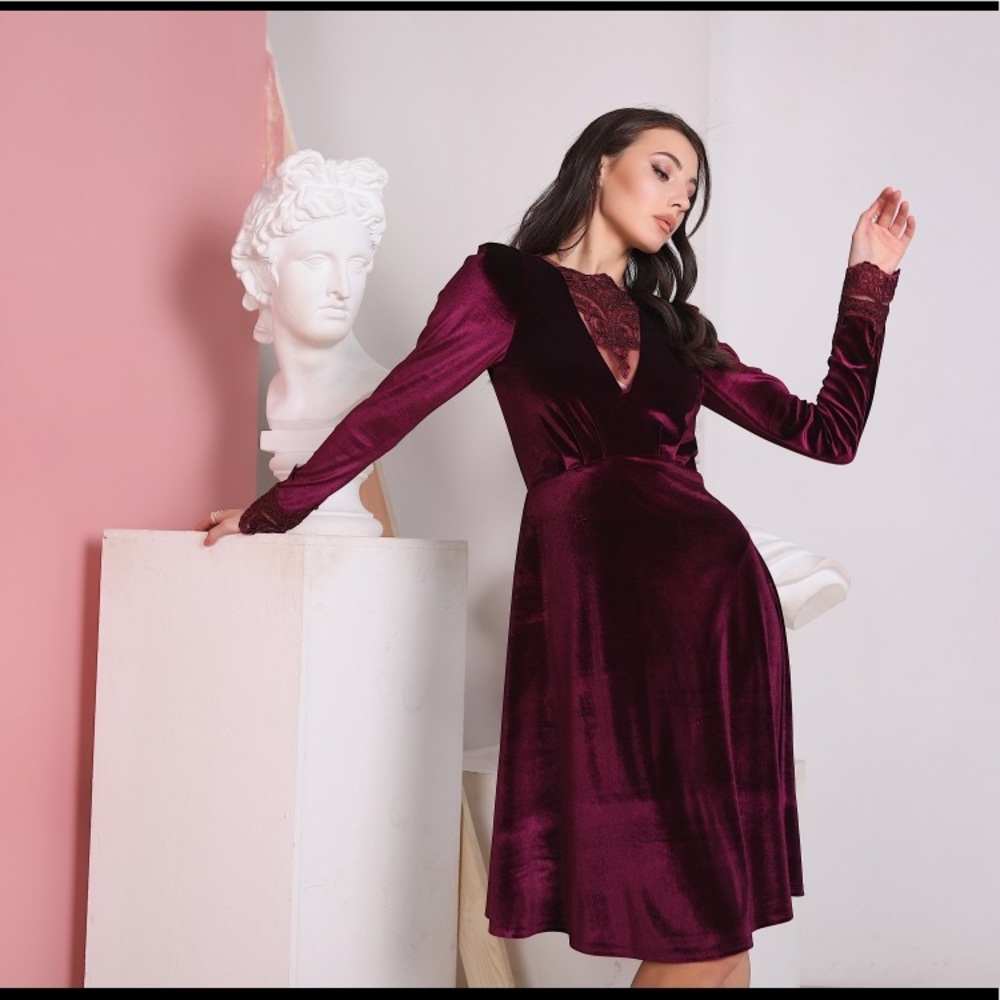 ❗️NEW❗️Marsala Velvet Dress with Lace Incut
